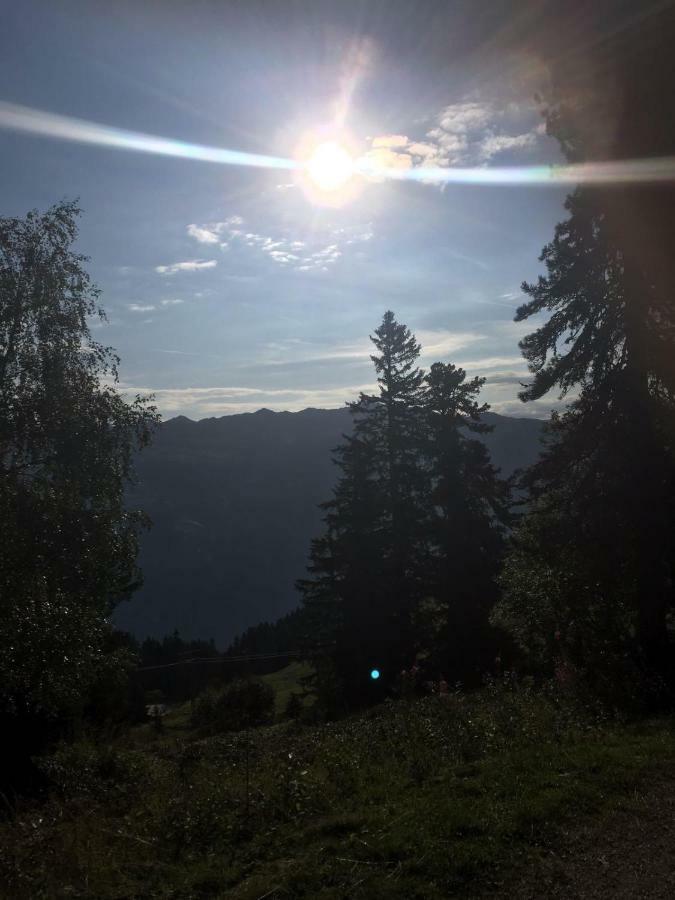 Schweinberger Sixtus Lägenhet Aschau Im Zillertal Exteriör bild